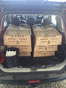 550 meals ;)